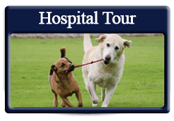 hospital tour