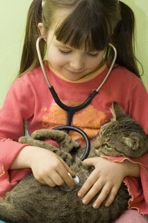 relaxed cat at Falcon Pass Animal Hospital of Clear Lake Houston