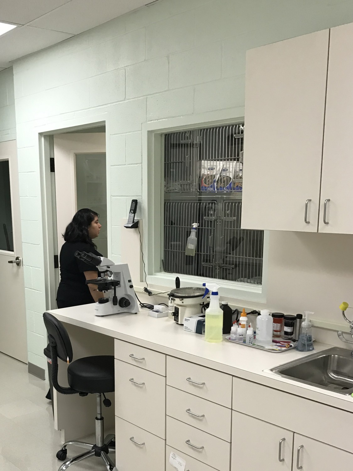 Kennels face main treatment area at Falcon Pass Animal Hospital in Clear Lake Houston