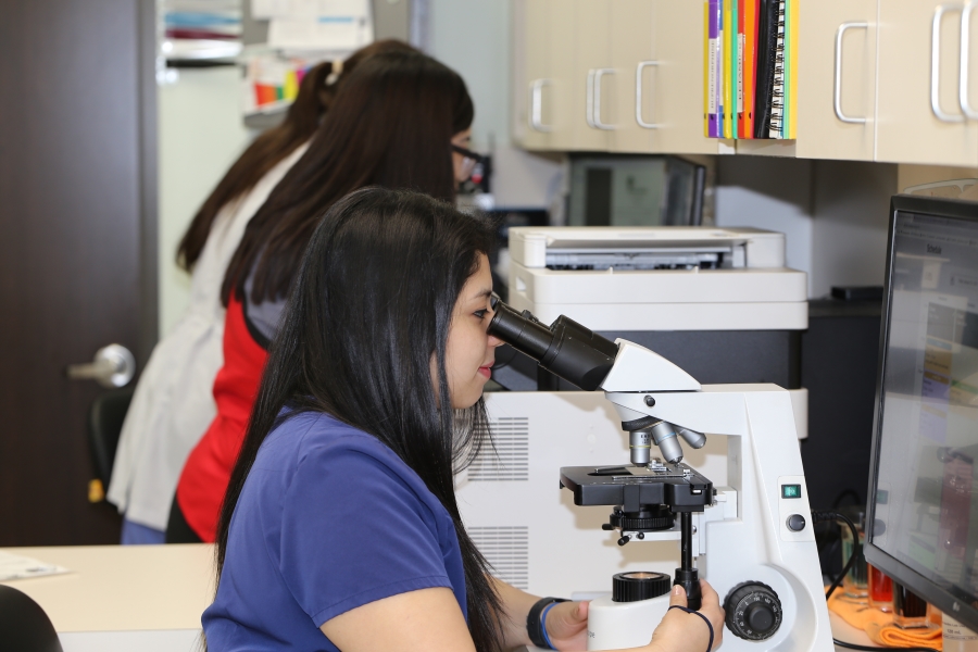 Dr. Borovik is evaluating dog's blood sample at Falcon Pass Animal Hospital in Clear Lake Area of Houston 