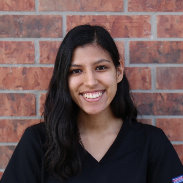 Netanya at Falcon Pass Animal Hospital in Clear Lake Houston