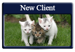 new clients